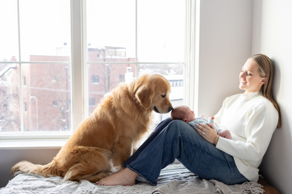 Golden retriever sniffing a newborn’s head while the baby rests on mother's legs by a bright window.