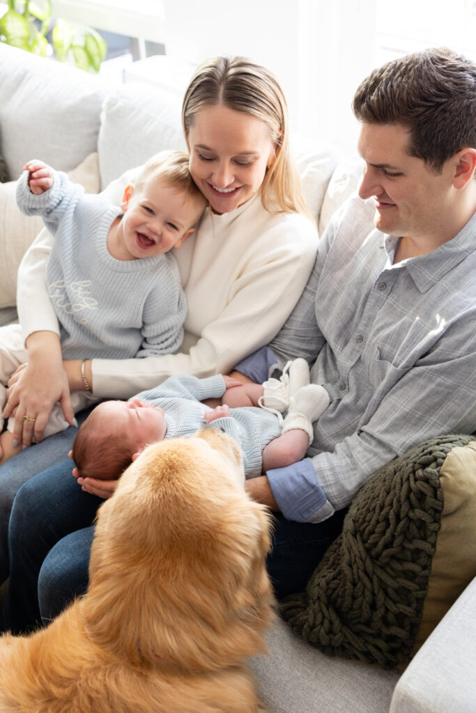 Smiling toddler sitting on mother's lap while the family’s golden retriever looks up at the newborn cradled by the father.